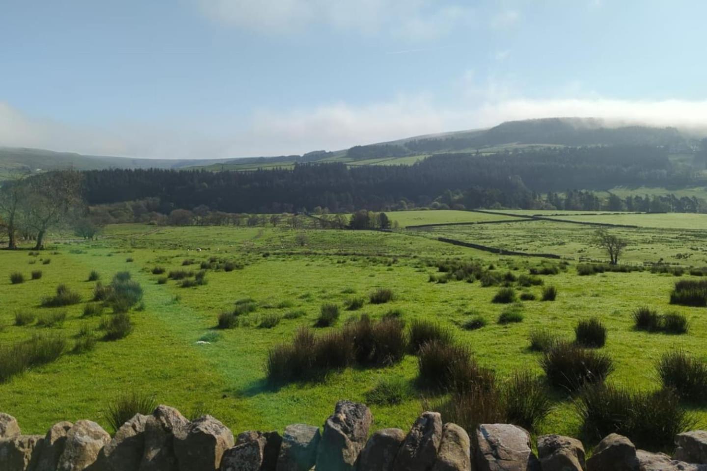 The Cottage Alston Εξωτερικό φωτογραφία
